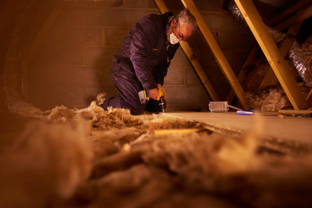 Best Commercial Insulation Services  in Carrizo Hill, TX